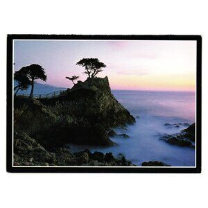 Monterey Peninsula Lone Cypress Postcard Coast Photo California Roadside